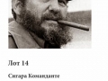 Лот 14