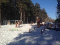 2015-02-21 14.38.42.jpg