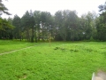 2013-08 29.08.2013 11-00-17_resize